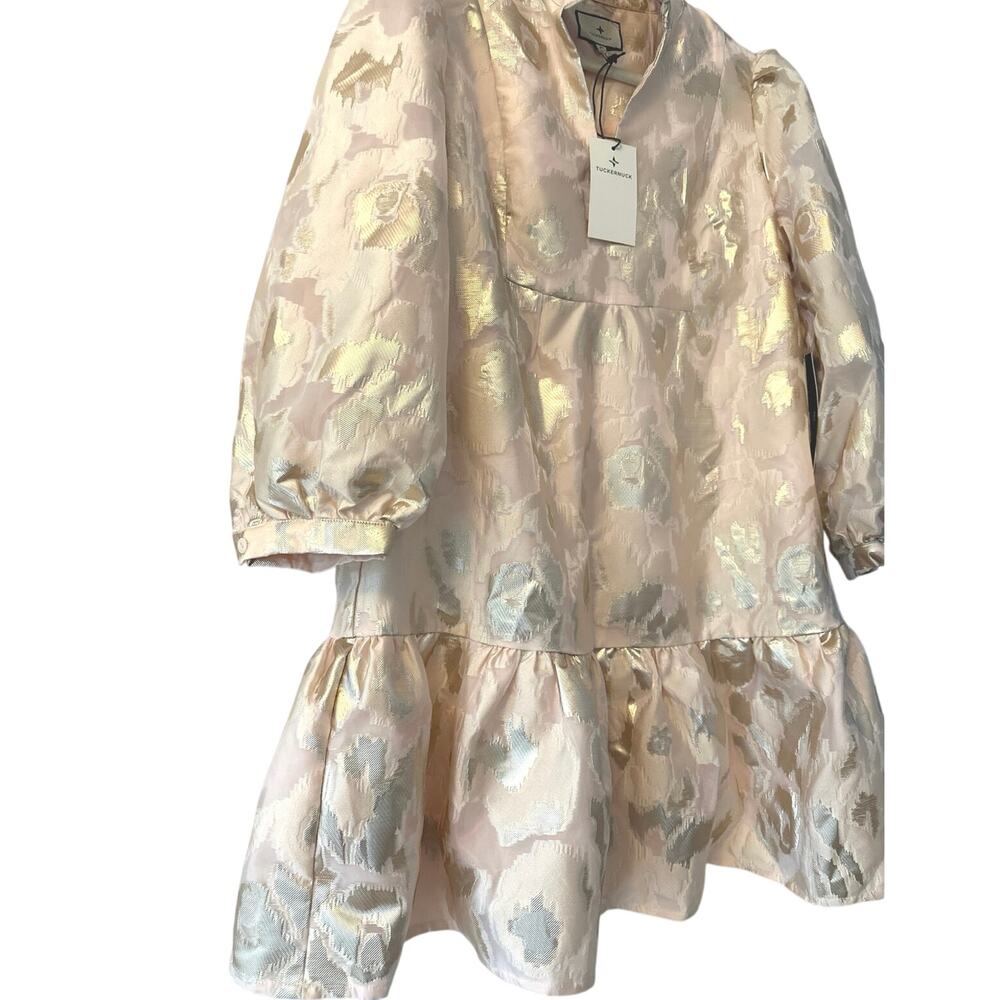 TUCKERNUCK EVERYTHING Must GO Champagne Fil Coupe Palmerston Dress - Picture 5 of 7